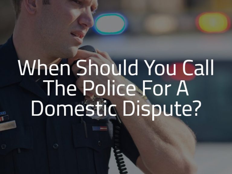 domestic call police meaning